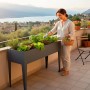 Westmann Metall-Hochbeet Vedura M Anthrazit auf Balkon. Frau gärtnert in ergonomischem Pflanzkasten mit Kräutern.