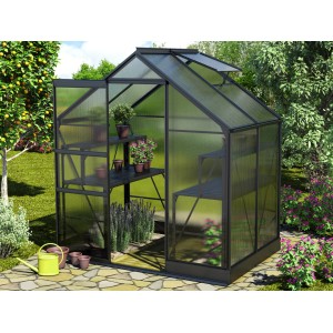 Vitavia Gewächshaus Apollo 2500, schwarzer Rahmen, 5 m² mit Fundament, bepflanzt.