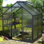 Vitavia Gewächshaus Apollo 2500, schwarzer Rahmen, 5 m² mit Fundament, bepflanzt.