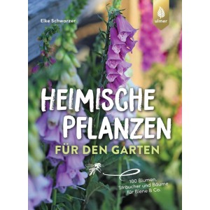 Buchcover "Heimische Pflanzen für den Garten". Lila Fingerhutblüten und Biene. Ratgeber für Garten, Blumen, Sträucher & Bäume.