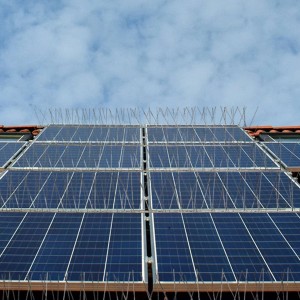 Niederberg Taubenabwehr mit Spikes auf Solaranlage montiert, blauer Himmel im Hintergrund.