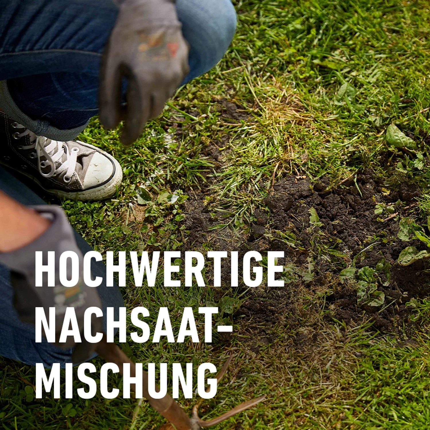 Anwendung von Compo Saat Rasen-Nachsaat zur Reparatur einer kahlen Stelle im Rasen.