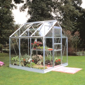 Halls Gewächshaus Popular 66 aus Alu, 3,8 m², mit Pflanzen im Garten.