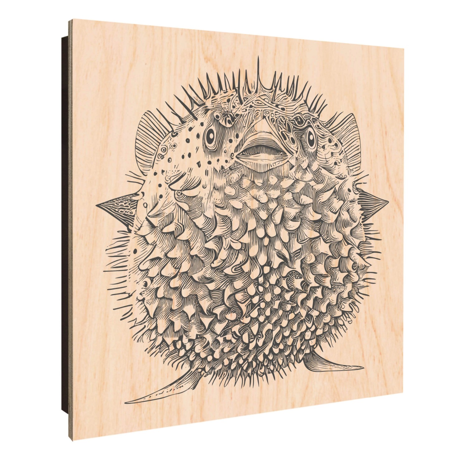 Banjado Großer Schlüsselkasten Holz 30x30cm Schwarz Scharnier Links 50 Hake günstig online kaufen