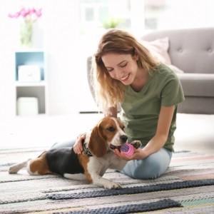 Frau spielt mit Hund und buntem Hundespielzeug Set (10-teilig) aus Baumwolle und TPR.
