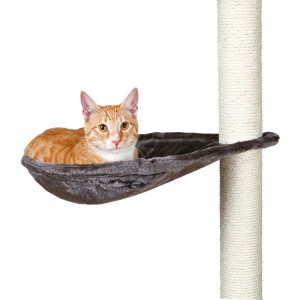 Katze liegt in Trixie Liegemulde Platingrau für Kratzbaum mit Metallrahmen.