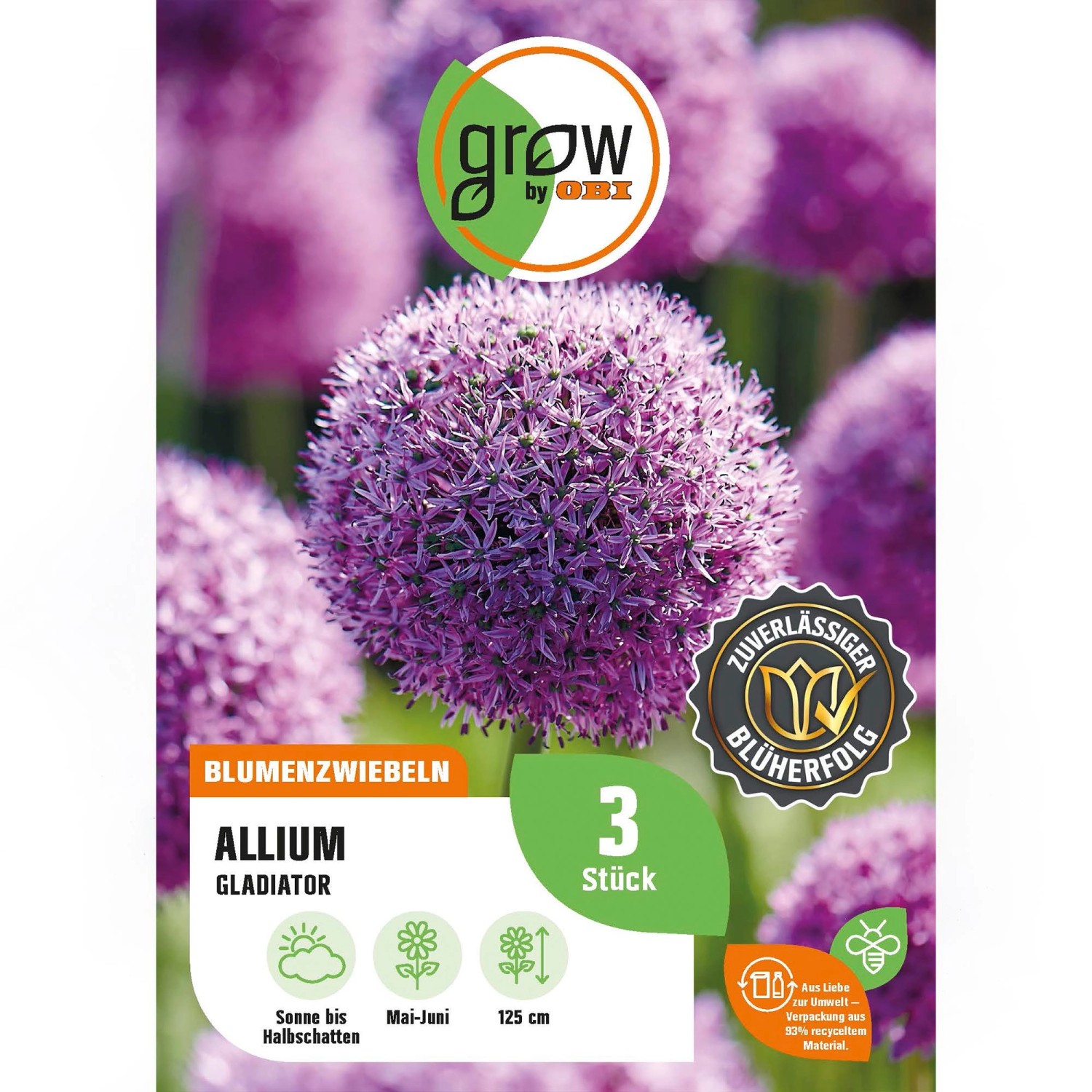 GROW by OBI Zierlauch Gladiator Lila 3 Stück Allium