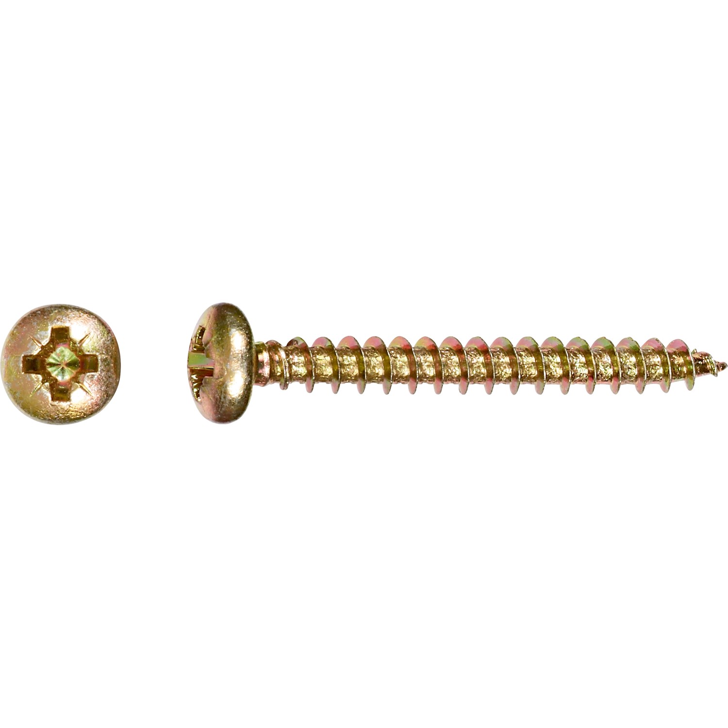 Halbrundkopf Spanplattenschraube PZ-Antrieb Ø 5 mm x 25 mm 15 Stück