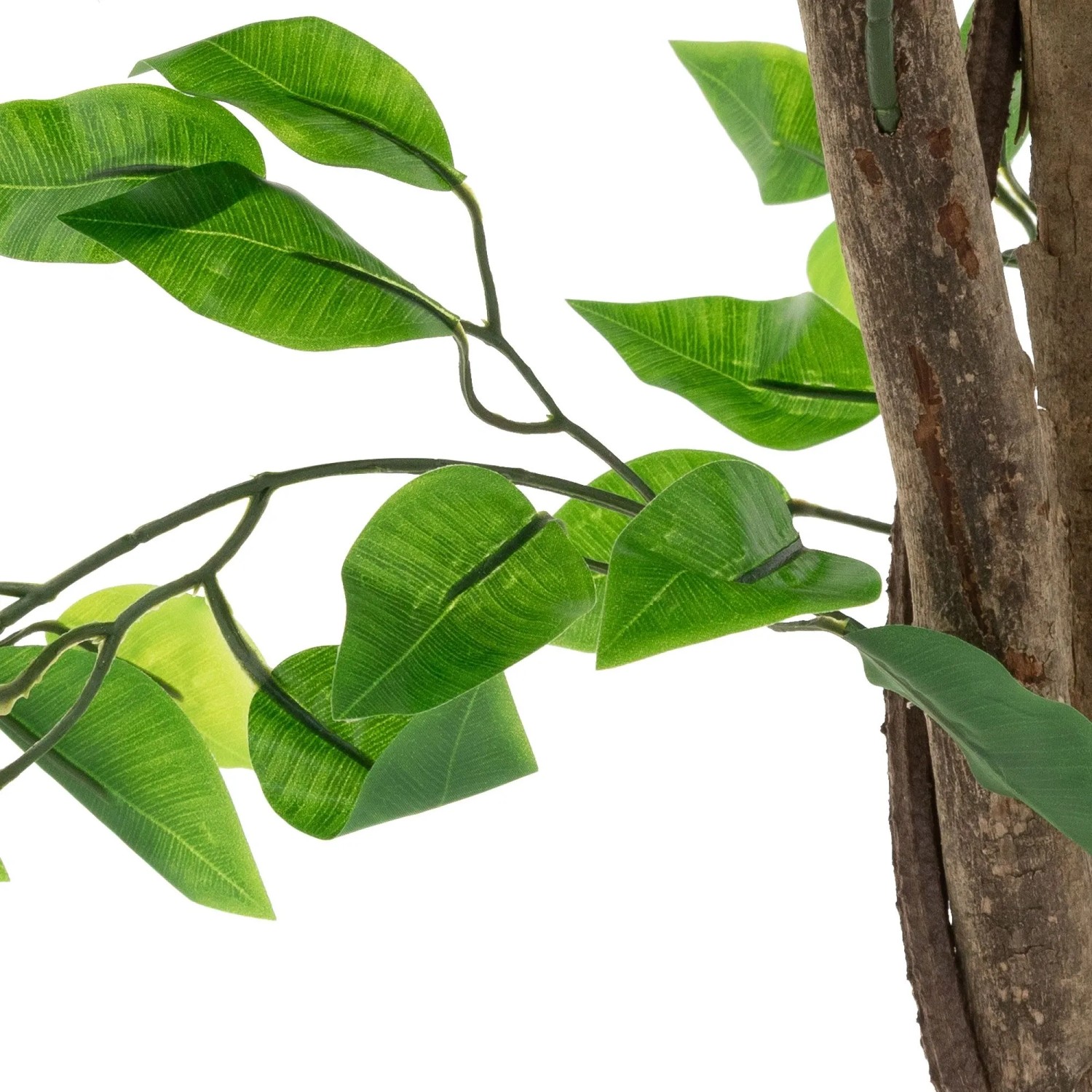 Nahaufnahme einer Kunstpflanze Ficus mit grünen Blättern und braunem Naturholzstamm. Naturgetreue Dekoration.