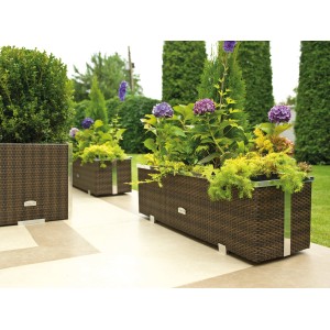 Braunes Wilk Polyrattan-Pflanzgefäß (108x39 cm) mit Alu-Beschlägen, bepflanzt.