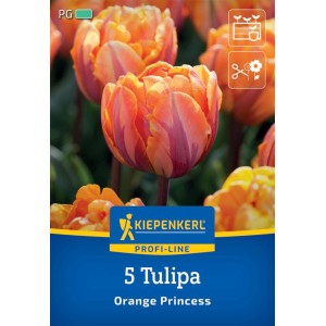 Kiepenkerl gefüllte Tulpe Orange Princess, orange Blüte, 5 Stück