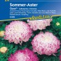 Kiepenkerl Sommer-Aster Opus Weiss-Rosa: Saatgut für paeonienblütige, weiß-rosa Sommerblumen.