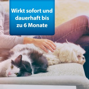 Katze und Hund entspannen, geschützt durch Ardap Ungezieferspray. Wirkt bis zu 6 Monate.