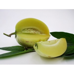 Gelbe Melonenbirne "Pepino Gold", angeschnitten, mit Fruchtfleisch und Kernen, im Topf.