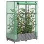 vidaXL Hochbeet mit Gewächshaus-Aufsatz in Rattan-Optik, hellgrau und grün, mit Pflanzen.
