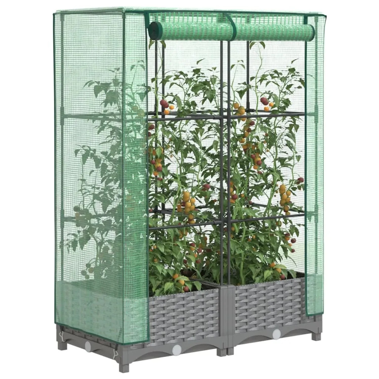 vidaXL Hochbeet mit Gewächshaus-Aufsatz in Rattan-Optik, hellgrau und grün, mit Pflanzen.