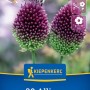 Kiepenkerl Blumenzwiebel Zierlauch A. sphaerocephalon 20 Stück_2