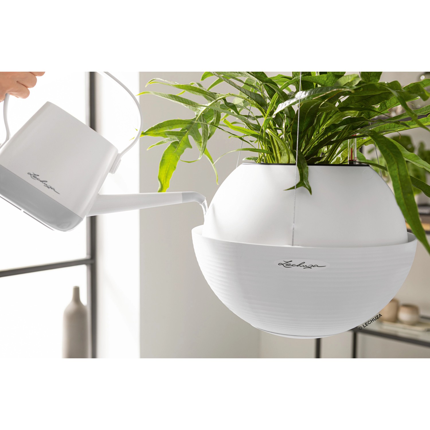 Weiße Lechuza Bola Color 23 Hängeampel mit Pflanze wird mit einer Gießkanne bewässert.