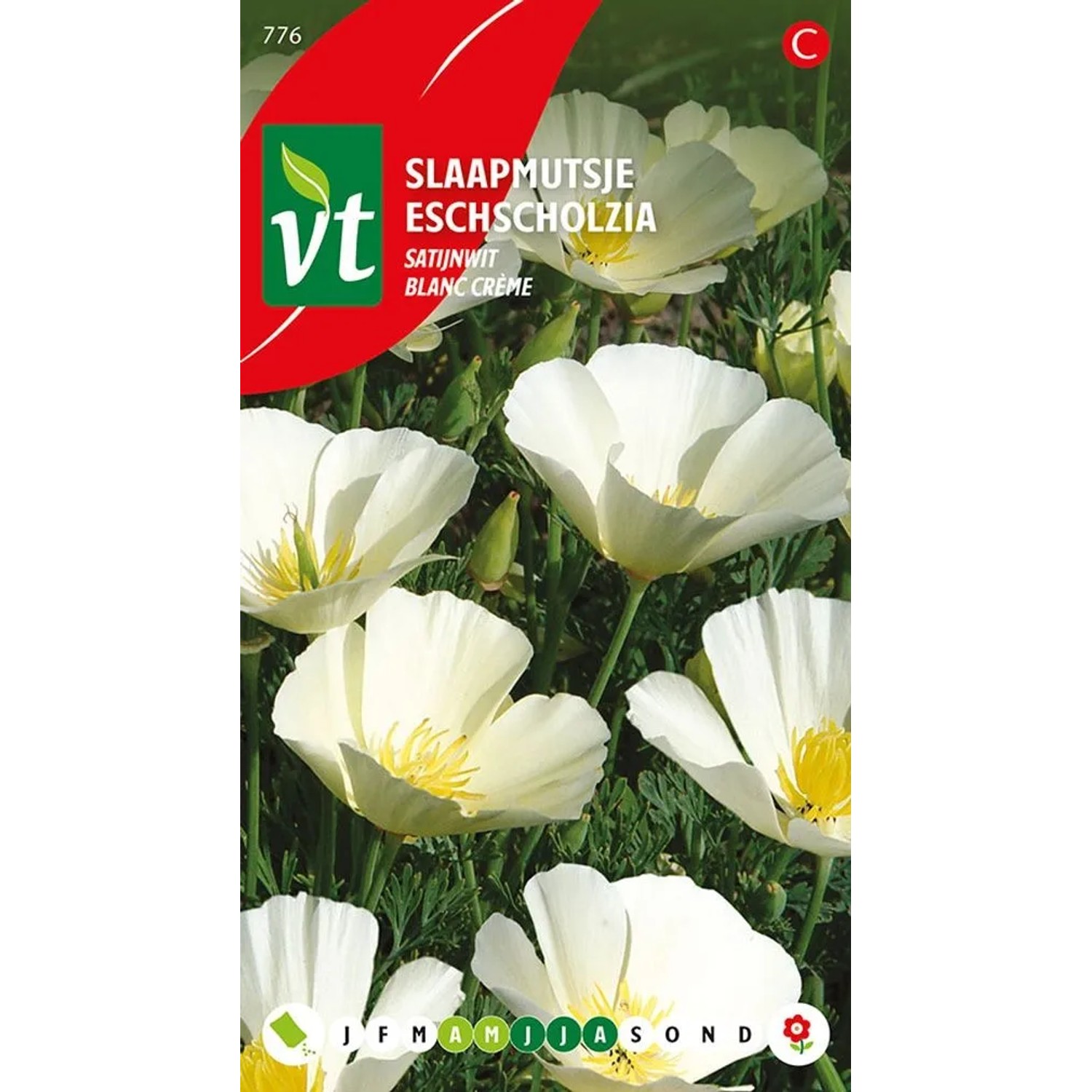 Kalifornischer Mohn 'Blanc Crème' Saatgut ca. 1 g Pflegeleicht