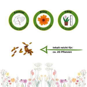 Samen der Hängegeranien-Mischung für ca. 20 Pflanzen, Infos zu Aussaat, Blüte und Höhe.