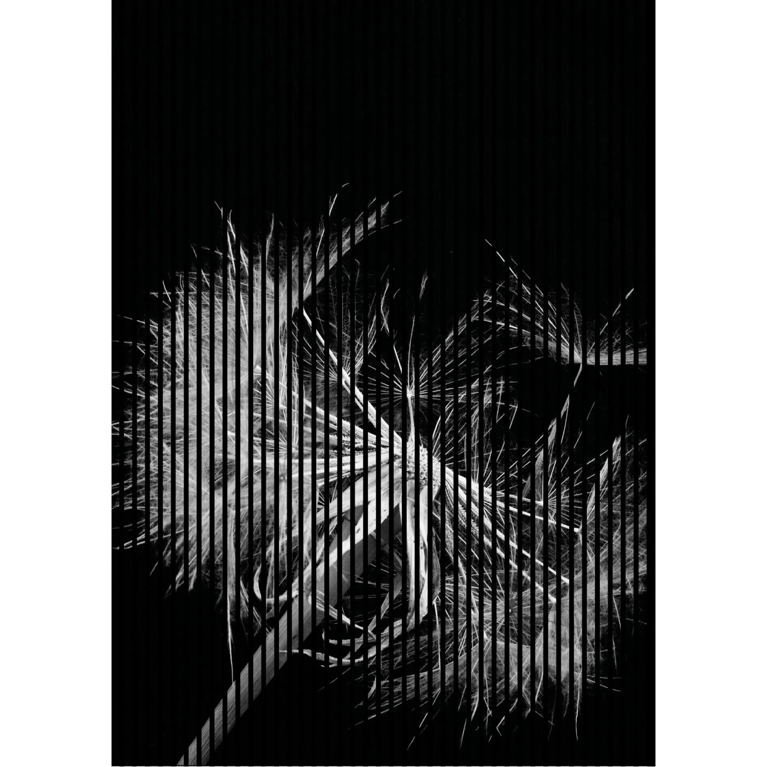 FN Acustico Akustikplatte Pusteblume 1 PET u. MDF Foliert 1.693 x 19 x 2.400 mm