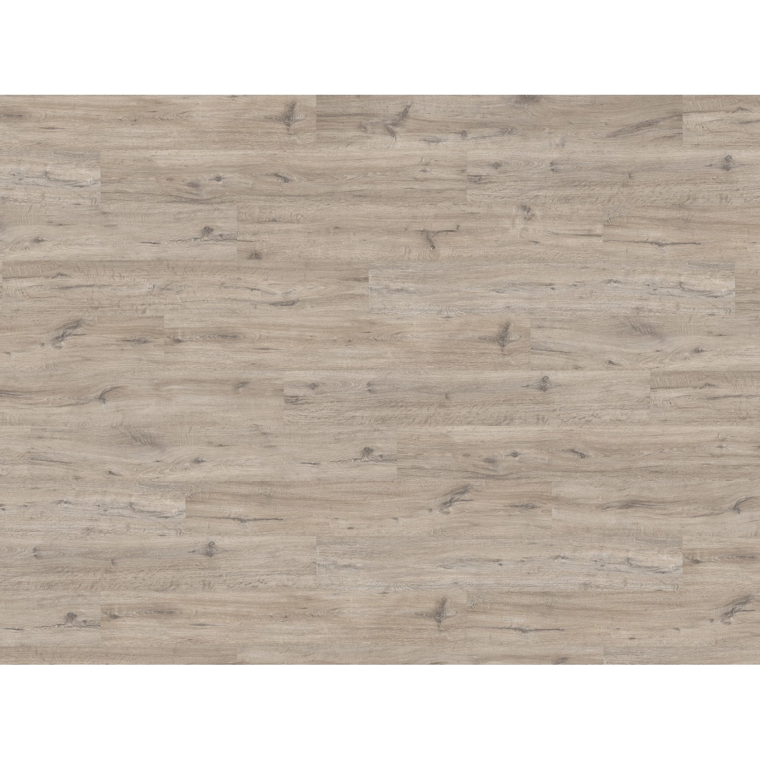 Living by Haro Laminatbodenmuster Sonderedition Eiche Dover