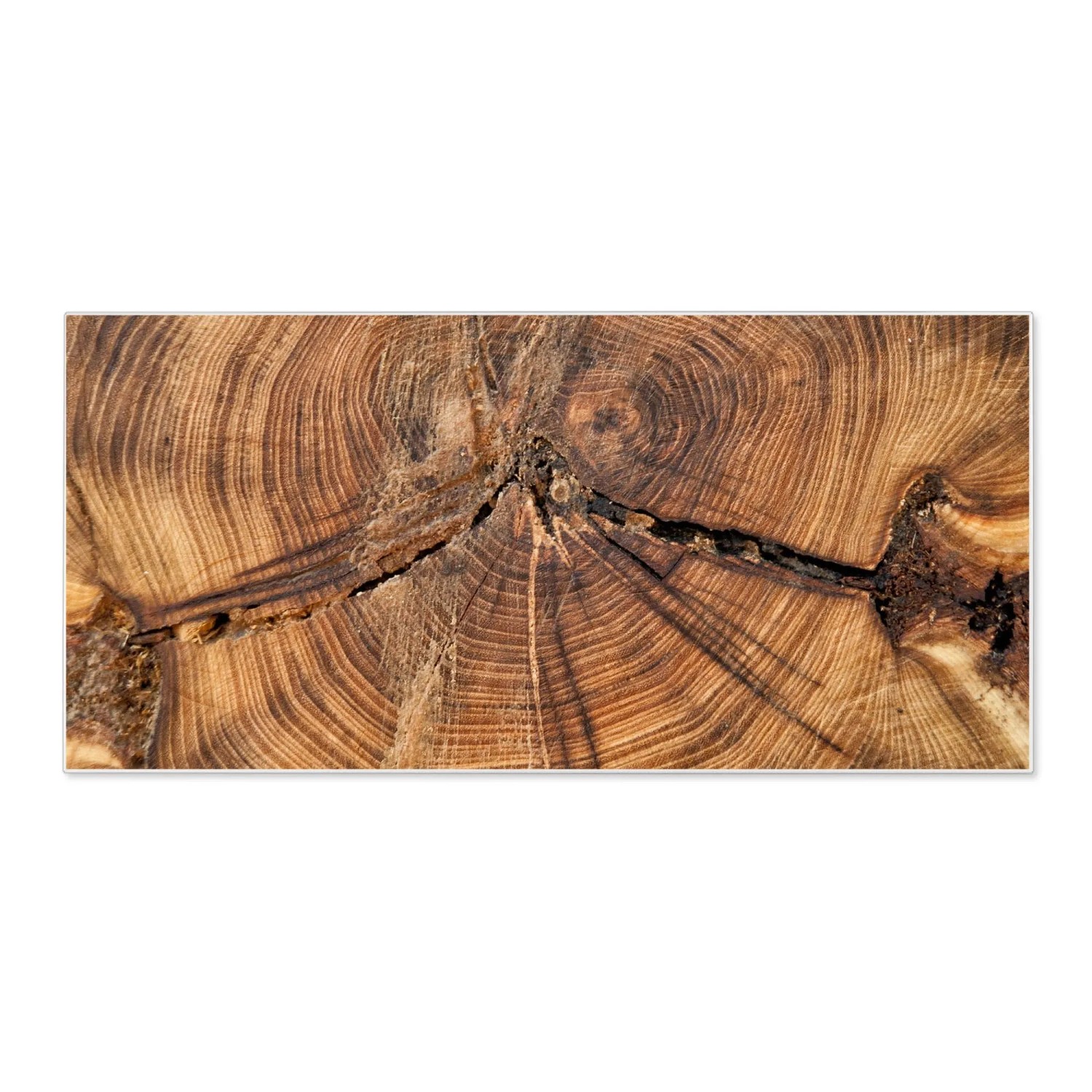 Banjado Magnettafel 78x37cm Magnetwand  Weiß Aus Metall Magnetpinnwand Pinn günstig online kaufen