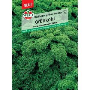 Samenpackung Sperli Grünkohl 'Halbhoher Grüner Krauser' mit dunkelgrünen, krausen Blättern.