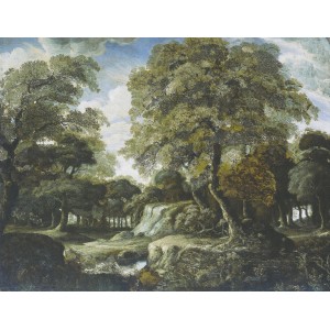 Erismann Digitaltapete Zooom Forest: Fototapete mit Waldlandschaft, Baumlandschaft und Bachlauf.