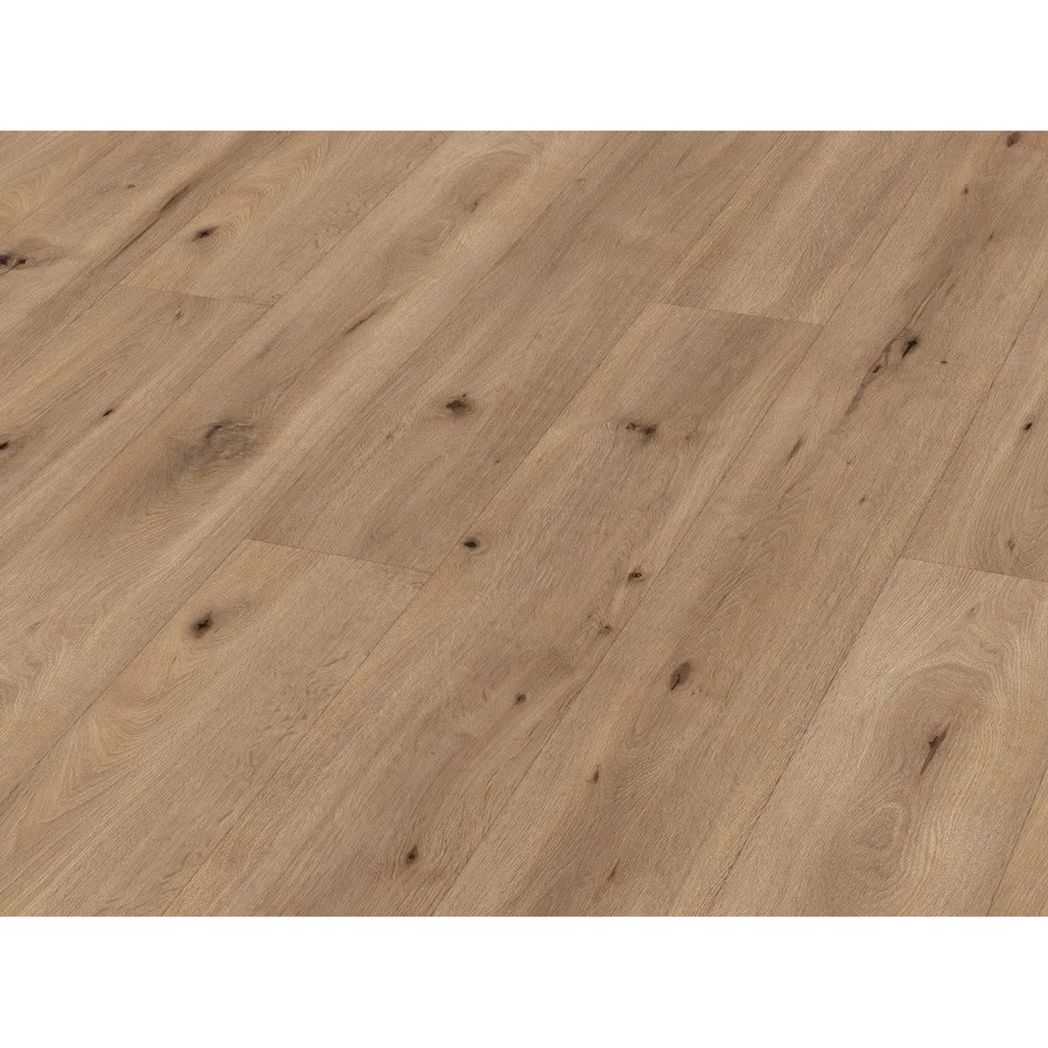 Meister Laminat LL150 Feldeiche Hell 6843 Landhausdiele