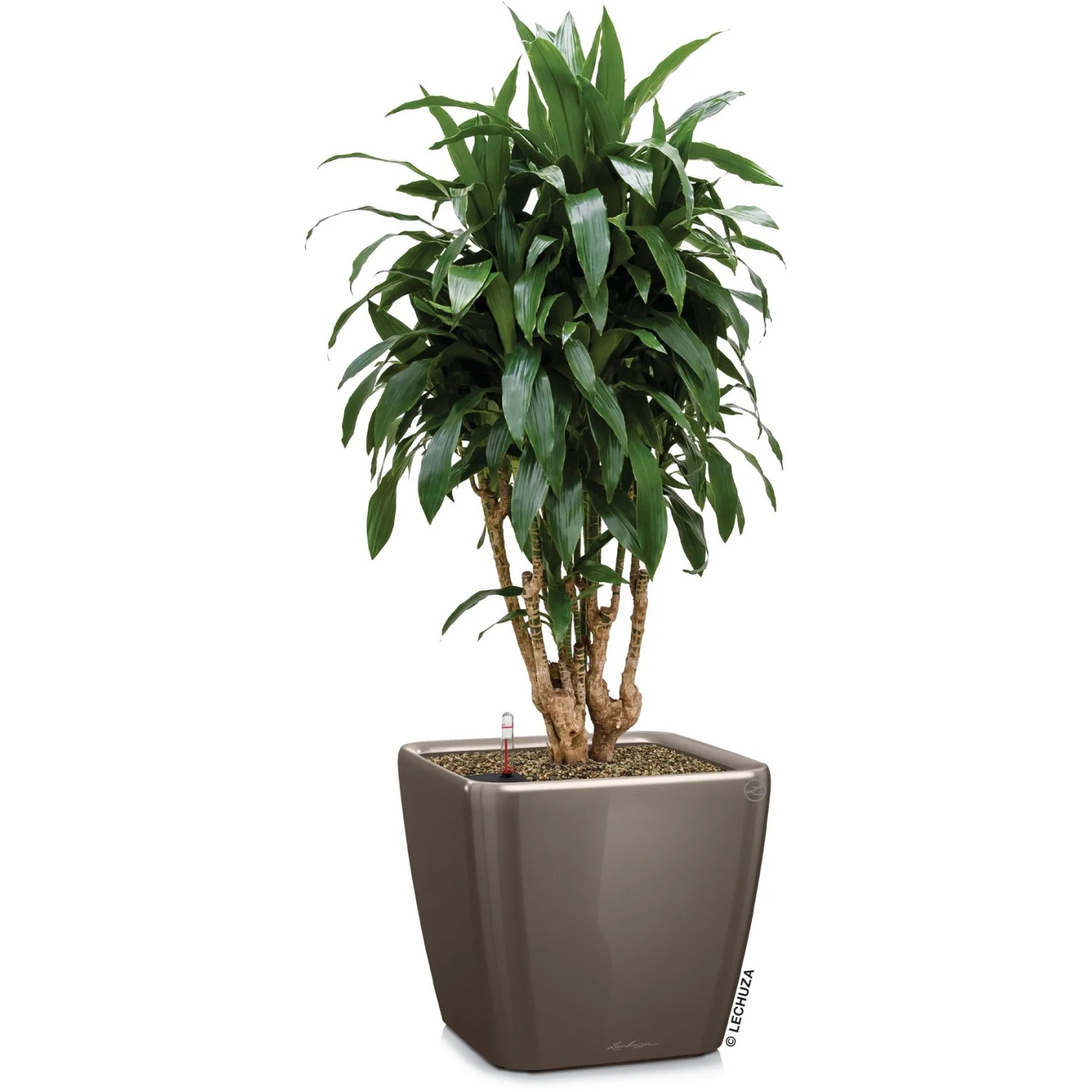 Lechuza Jardinière QUADRO Premium LS 28