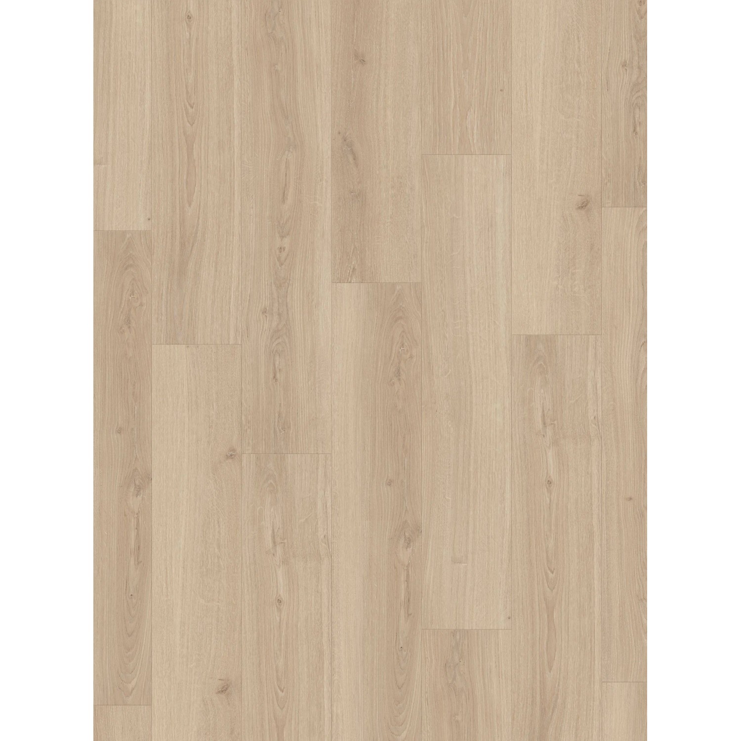 Parador Laminatbodenmuster Basic 600 Eiche Studioline Pure Braun