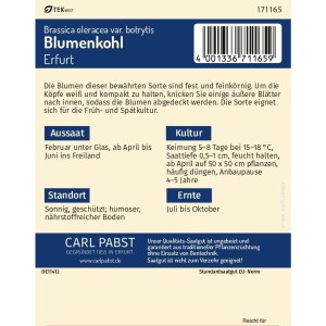 Pabst Keimkraft Blumenkohl 'Erfurt' Saatgutpackung für ca. 80 Pflanzen.