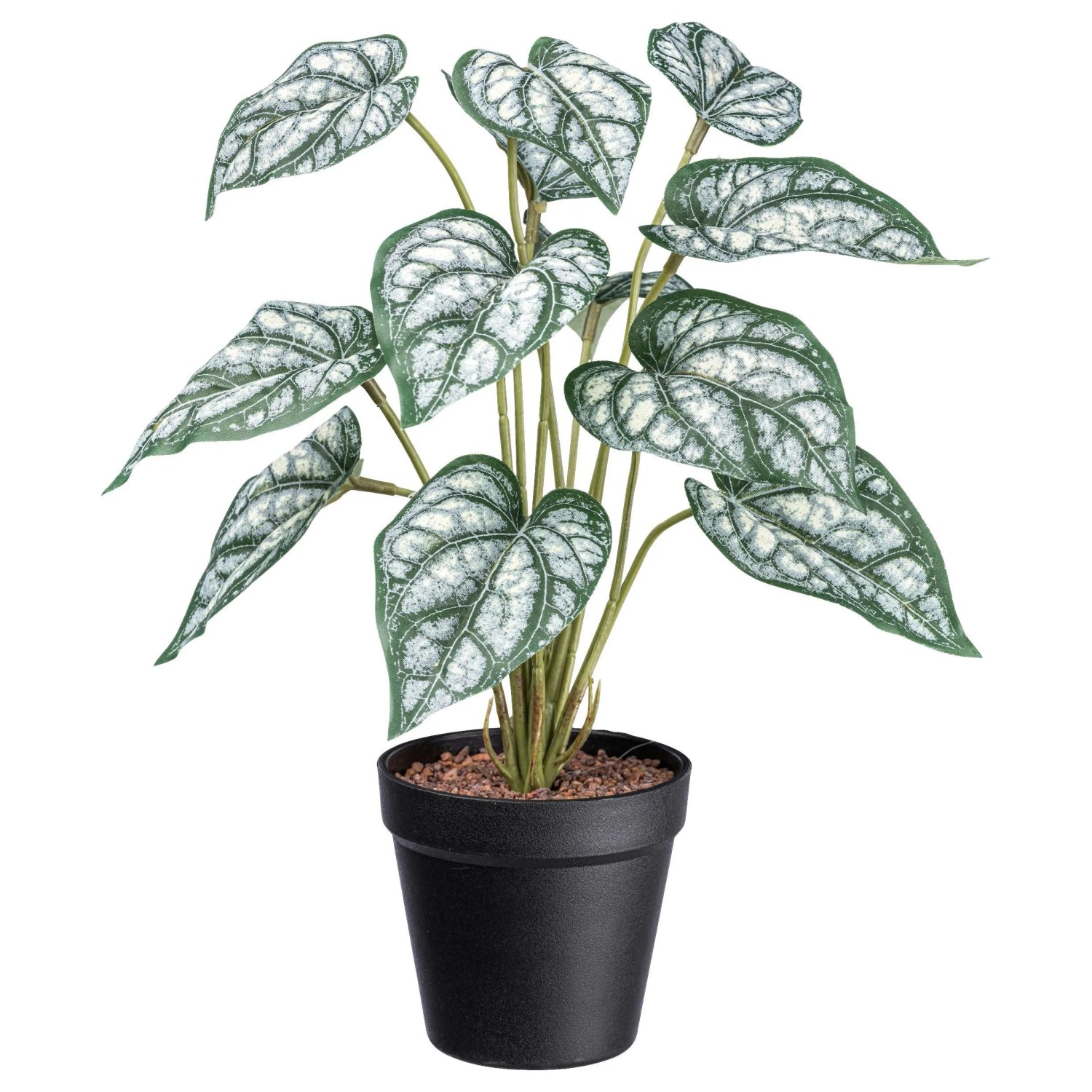 Modern Living Kunstpflanze Syngonium II in Grün/Weiß