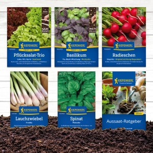 Gemüsesamen-Set mit Radieschen, Spinat, Basilikum, Lauchzwiebeln und Pflücksalat für den Garten.