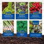 Gemüsesamen-Set mit Radieschen, Spinat, Basilikum, Lauchzwiebeln und Pflücksalat für den Garten.