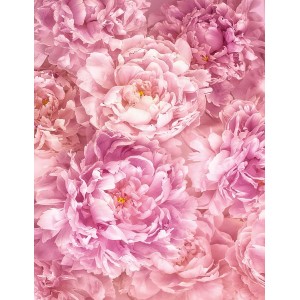 Komar Fototapete Vlies Soave (200x260 cm) mit rosa Pfingstrosen-Motiv.