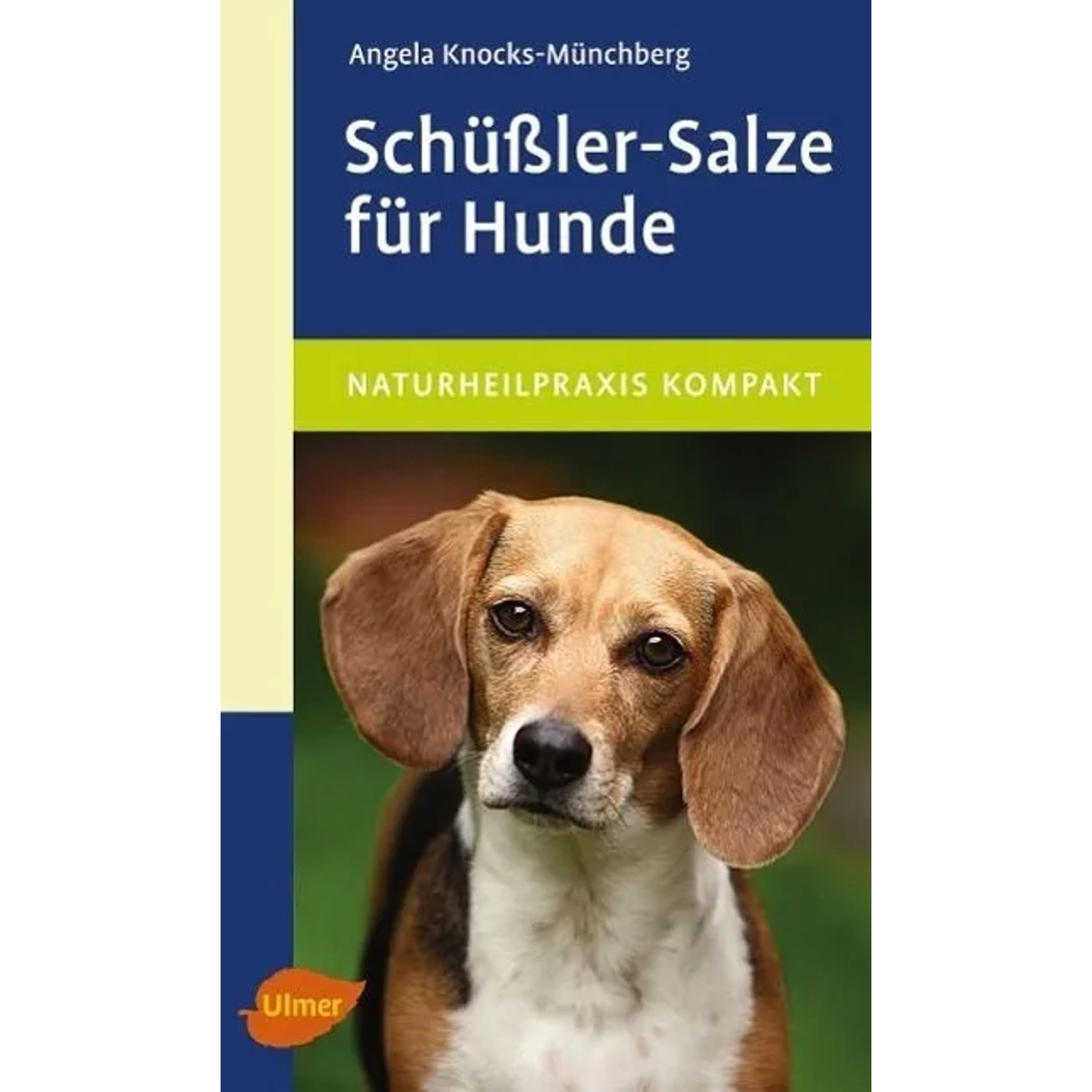 Schüßler-Salze für Hunde