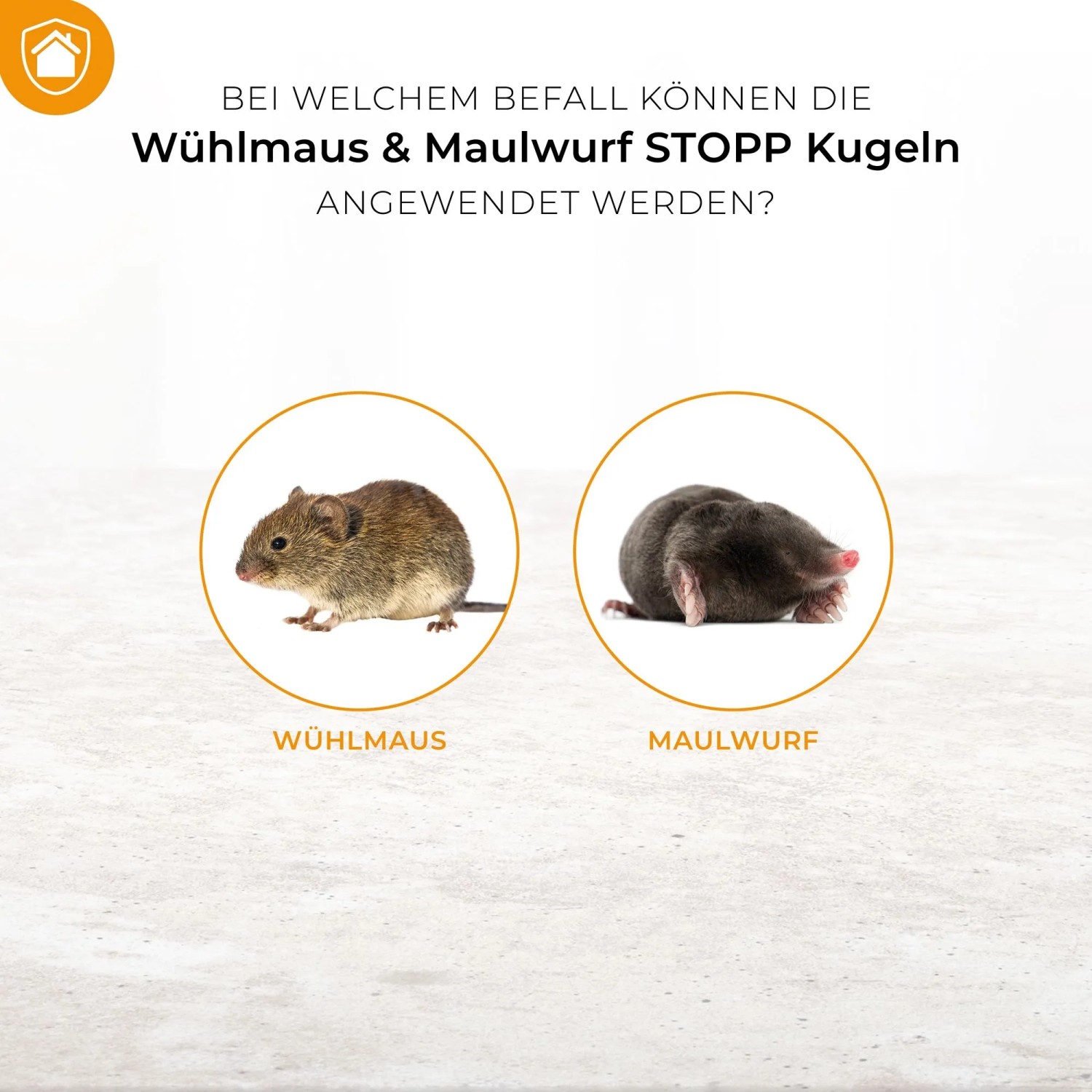 Wühlmaus und Maulwurf im Vergleich: Protect Home Stopp-Kugeln gegen Wühlmäuse und Maulwürfe.
