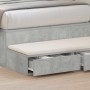 Betongraue vidaXL Bettschubladen aus Holzwerkstoff, eine Schublade geöffnet, unter einem Bett. Praktische Aufbewahrung.