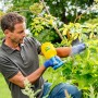 Mann nutzt Gloria Feinsprüher Hobby 10 Flex zur Pflanzenpflege im Garten.
