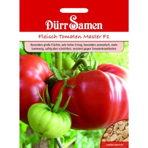 Dürr Samen Fleisch-Tomaten Master F1: Reife und grüne Tomaten vor Saatguttüte.