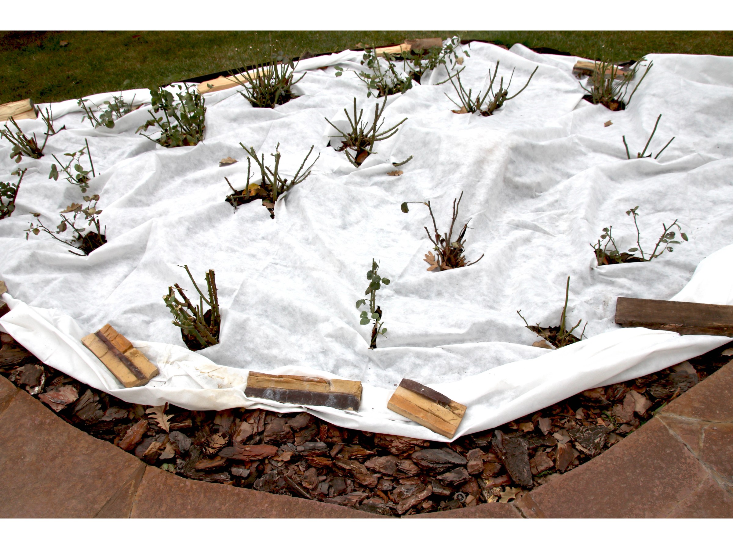 Unkrautvlies Gartenvlies Bodengewebe Unkrautschutz 80g/m² Breite 1,6m Beetvlies