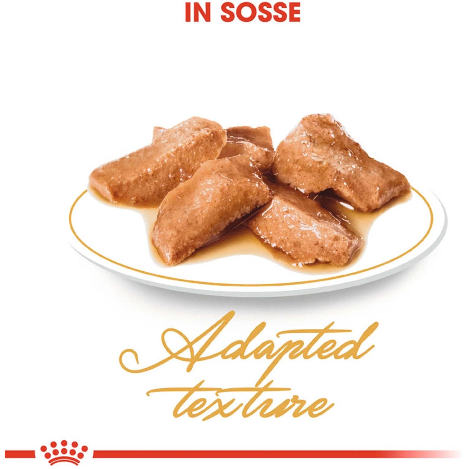 Royal Canin Maine Coon Adult Katzenfutter Nass in Soße, geeignet für Maine Coon Katzen.