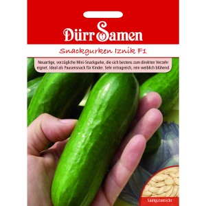 Dürr Samen Snackgurke Iznik F1 Saatgut Packung mit Mini-Gurke in Hand.