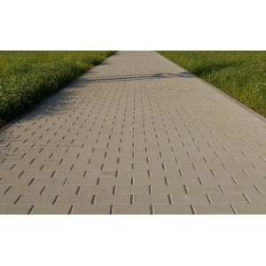 Graues Rechteckpflaster 20x10x8 cm verlegt als Gehweg, eingefasst von Rasenflächen.