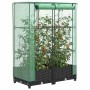 vidaXL Hochbeet mit Gewächshaus-Aufsatz in Rattan-Optik, 80x40x123 cm, mit Pflanzen.