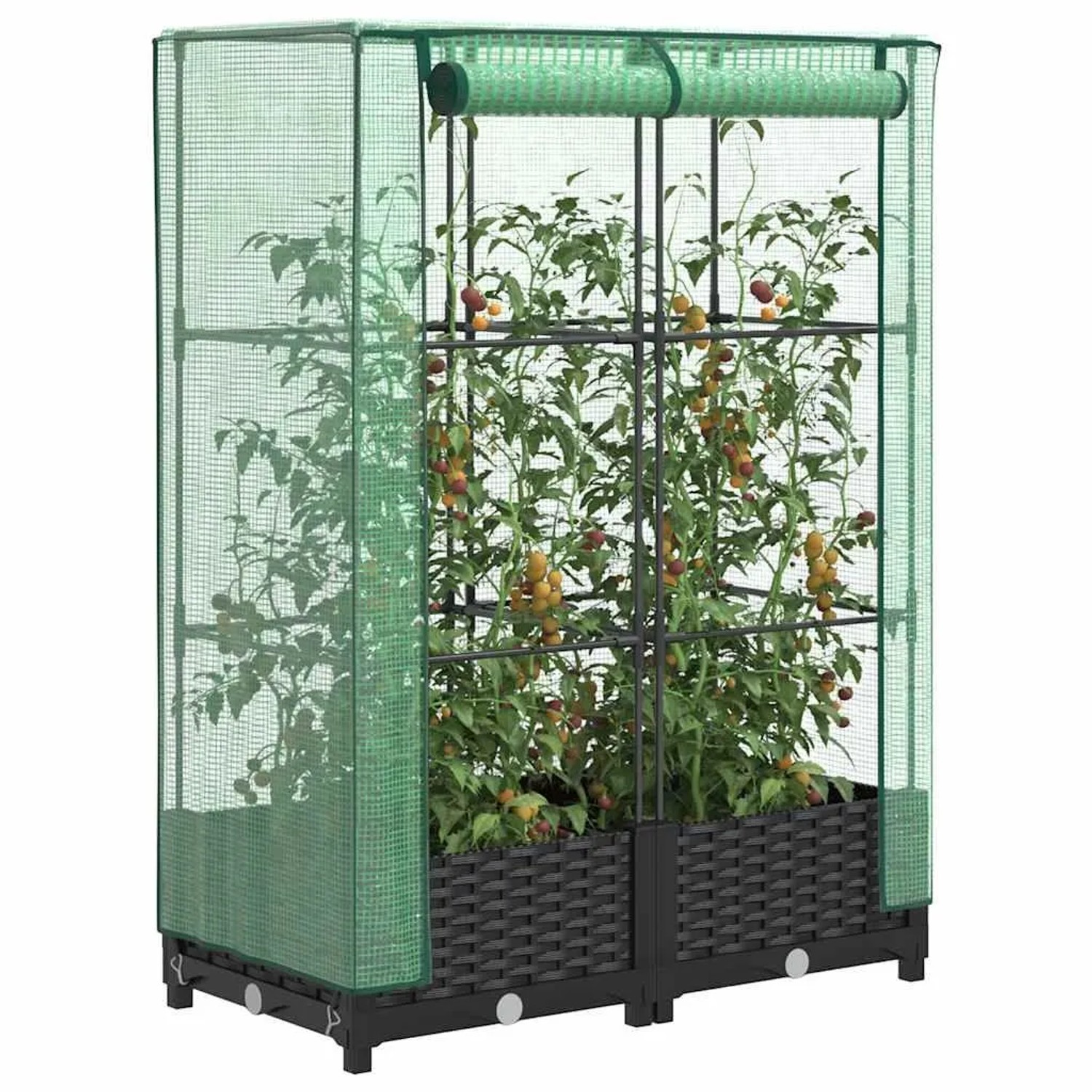 vidaXL Hochbeet mit Gewächshaus-Aufsatz in Rattan-Optik, 80x40x123 cm, mit Pflanzen.