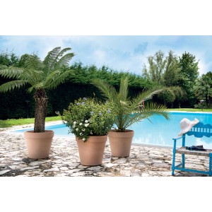 Drei bepflanzte Deroma Magno Terrakottatöpfe in Weiß am Pool.