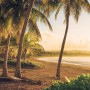Komar Fototapete Vlies Golden Lands: Strand mit Palmen im goldenen Licht, 400x250 cm.